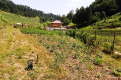 12 Izvođenje geofizičkih ispitivanja (Bosanska Krupa)
