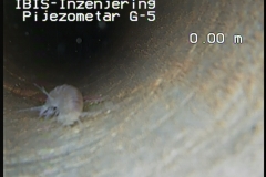 5 Ihtio fauna u podzemnim vodam (istražna bušotina (Trebinje)